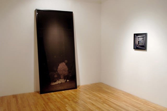 Michel de Broin + Ève K. Tremblay: Honeymoons