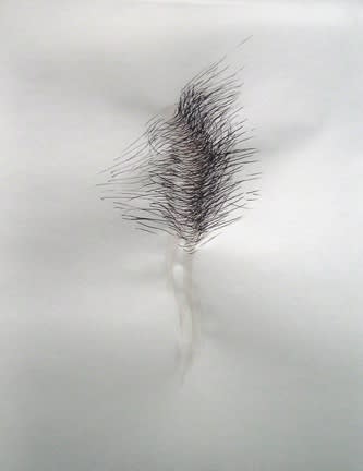 Karilee Fuglem, Dessin de la série « Connective tissue », 2005, encre et eau sur vélin, 28 x 21.5 cm