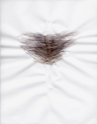 Karilee Fuglem, Dessin de la série « Connective tissue », 2005, encre et eau sur vélin, 28 x 21.5 cm