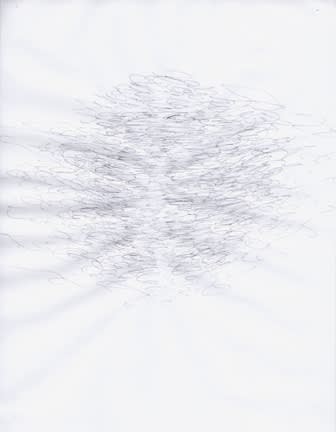 Karilee Fuglem, Dessin de la série « Connective tissue », 2005, encre et eau sur vélin, 28 x 21.5 cm
