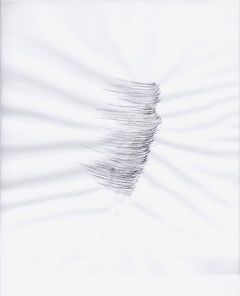 Karilee Fuglem, Dessin de la série « Connective tissue », 2005, encre et eau sur vélin, 28 x 21.5 cm