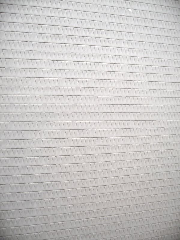 Jérôme Fortin, Sans titre de la série Écran (détail), 2006