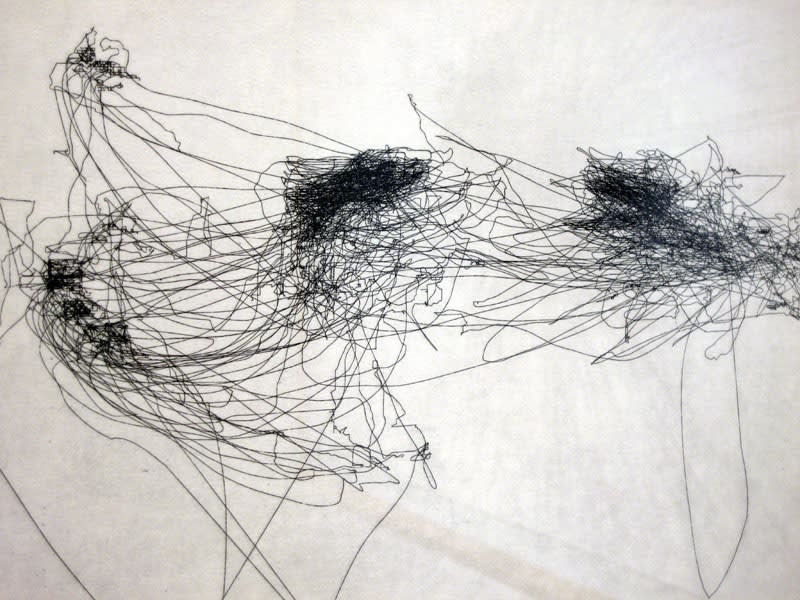 Alexandre Castonguay, Sans titre, 2006, gravure, 56 x 76 cm, édition de 12