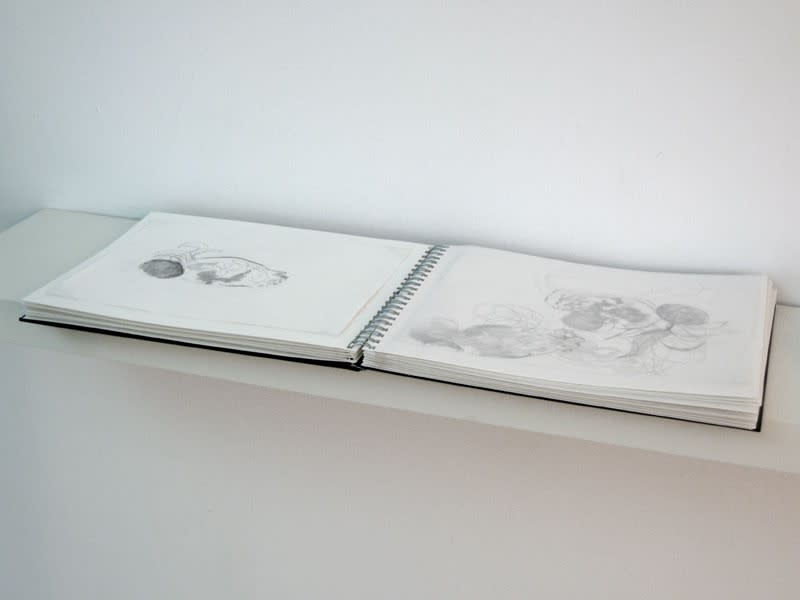 Annie Thibault, Apprivoisements fugaces: Série en noir et blanc, 2006, parcours no 1 à 30, dessin sur projection lumineuse, plomb sur papier BFK Rives, 23 x 31 cm chacun