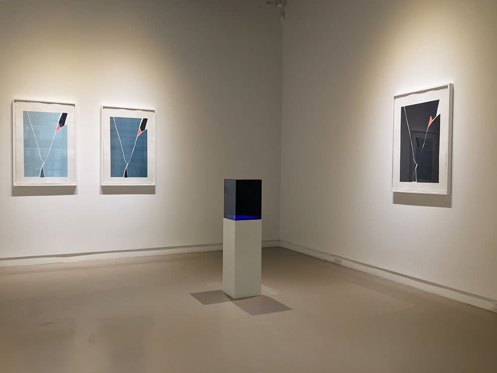 Mark Clintberg @ Centre Space (Toronto)