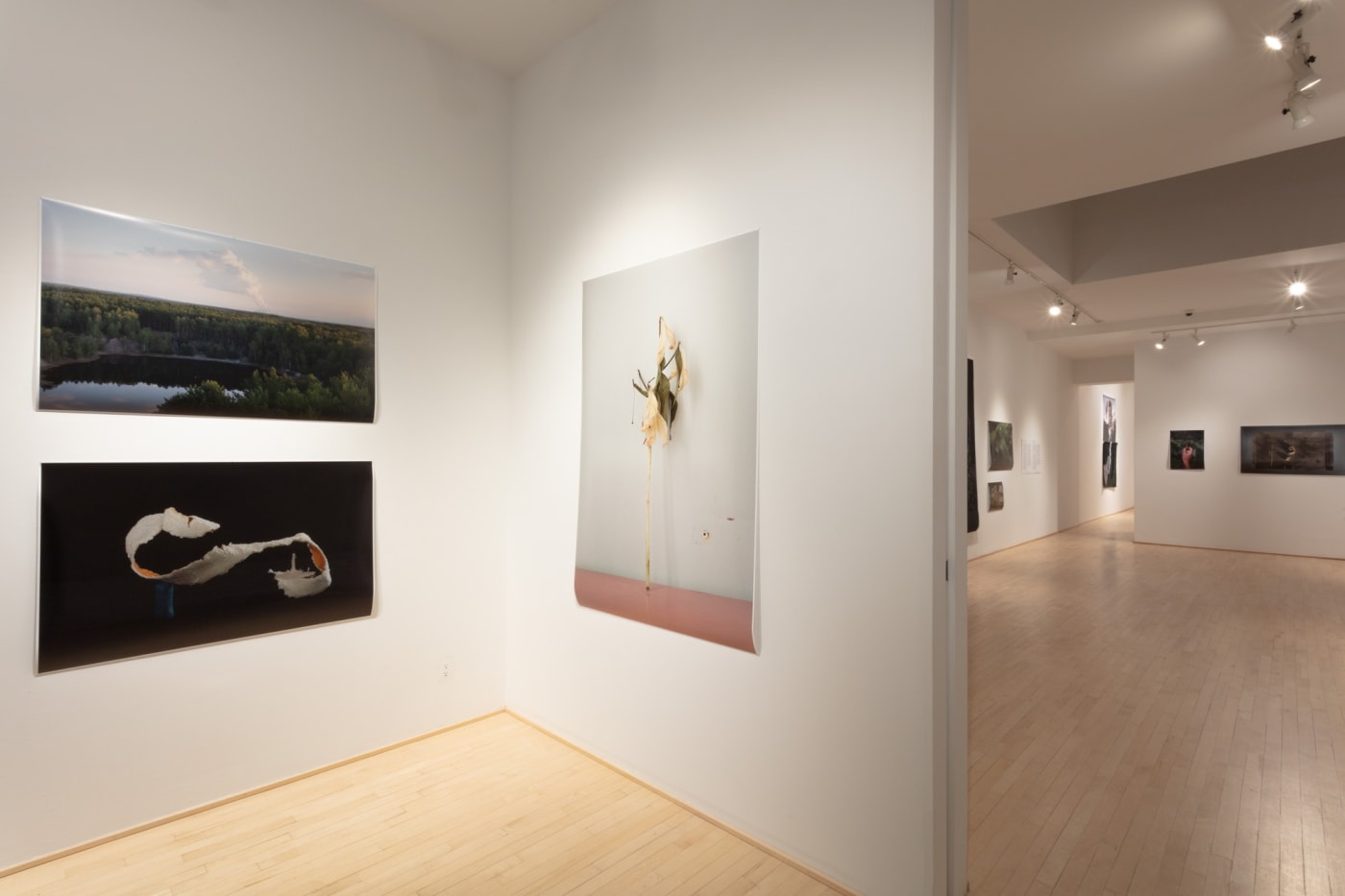 Chih-Chien Wang: In Search of a Solid Ground