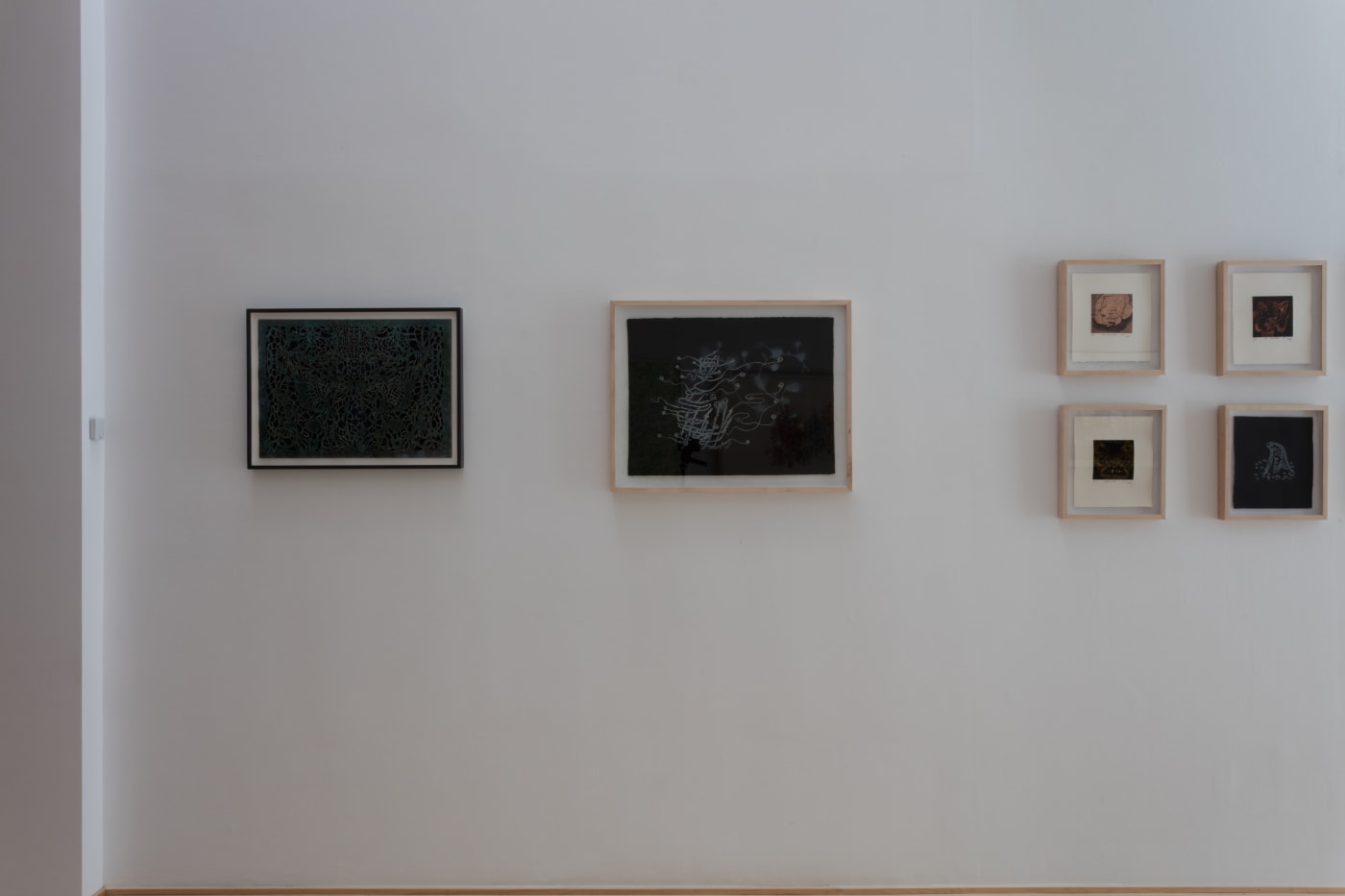 Ed Pien: Somnambules