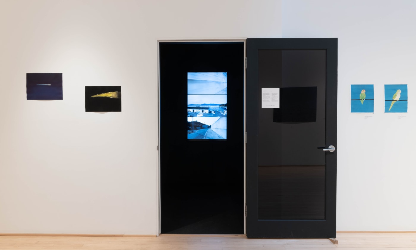 Book of Wonders, an exhibition by Ripley Whiteside