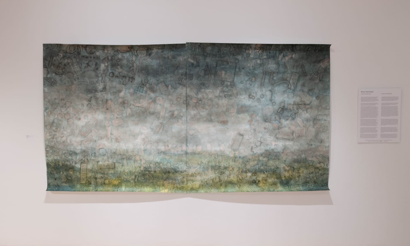 Book of Wonders, an exhibition by Ripley Whiteside