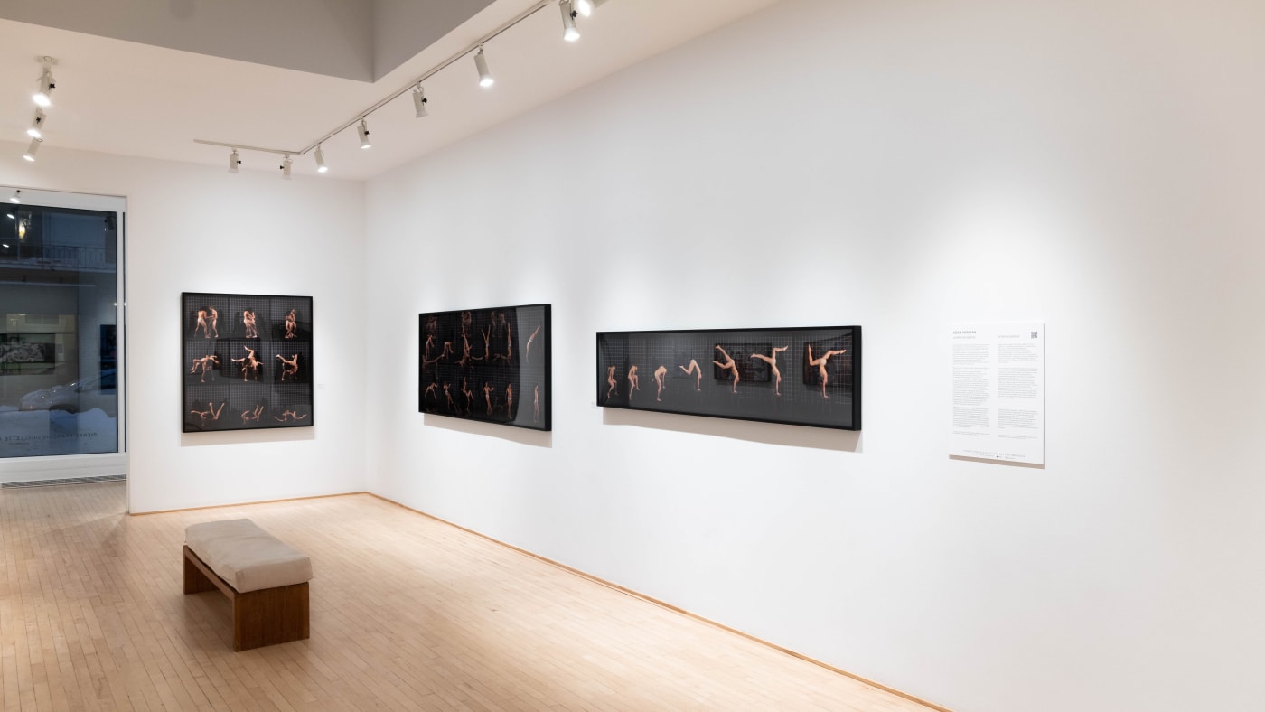 Adad Hannah: Recent exposures / Expositions récentes