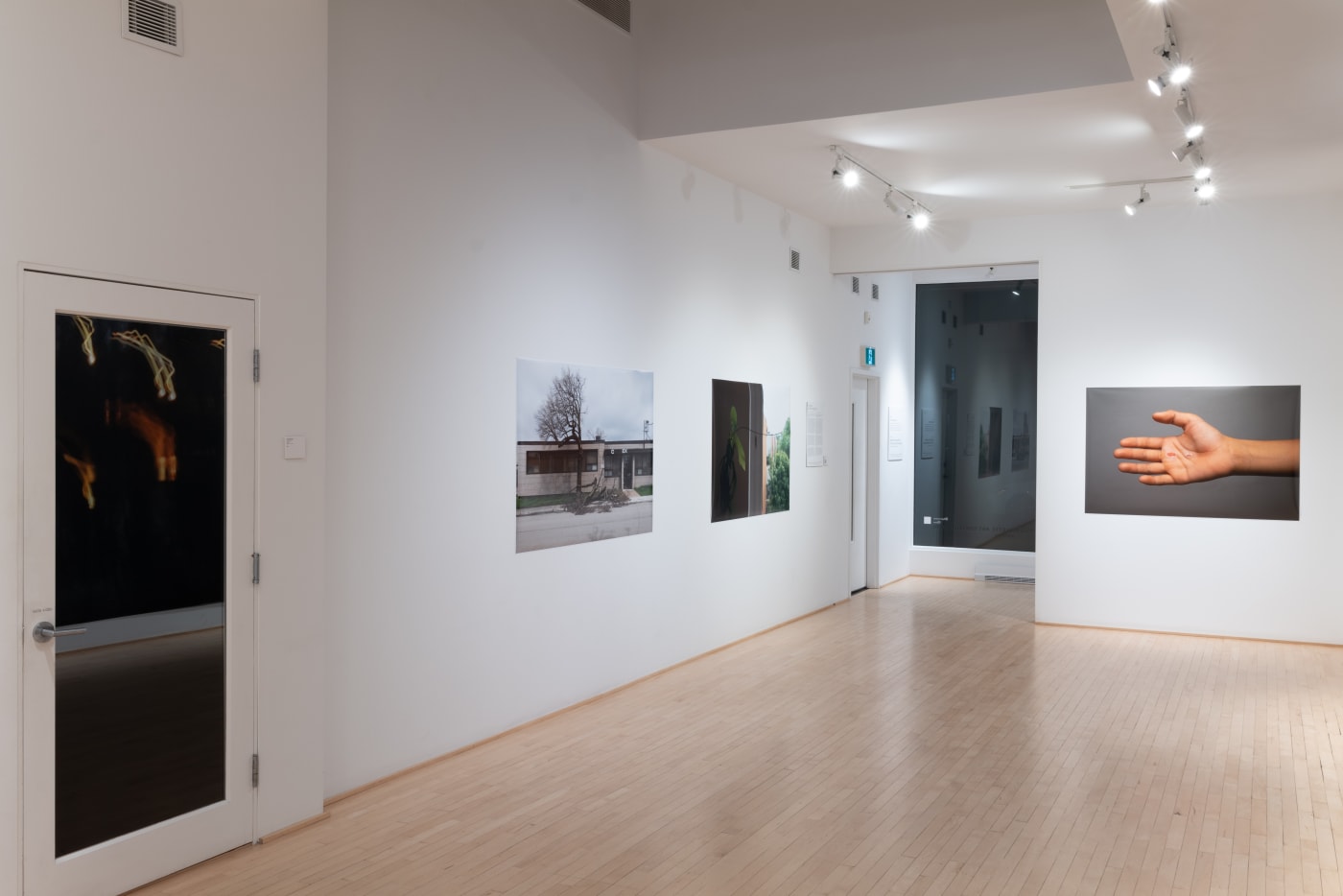Chih-Chien Wang: Blue Lake, Pink Land, Patched Sphere, Fresh Wound