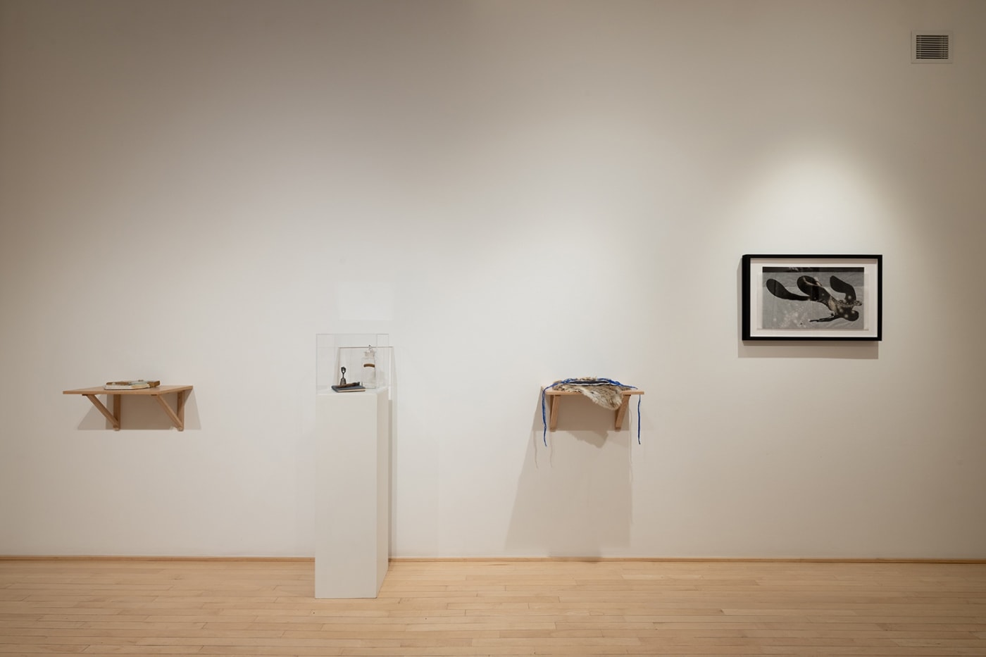 Jamie Ross: une coquille, une cruche, une feuille Photo: Michael Patten
