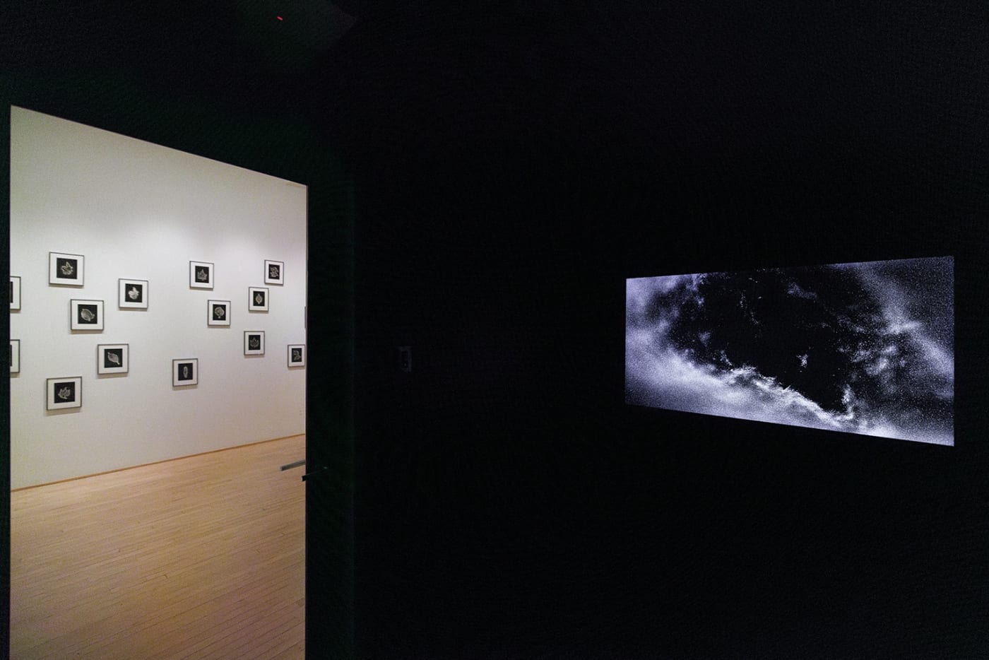 Marie-Jeanne Musiol : Je vois des étoiles au profond du noir