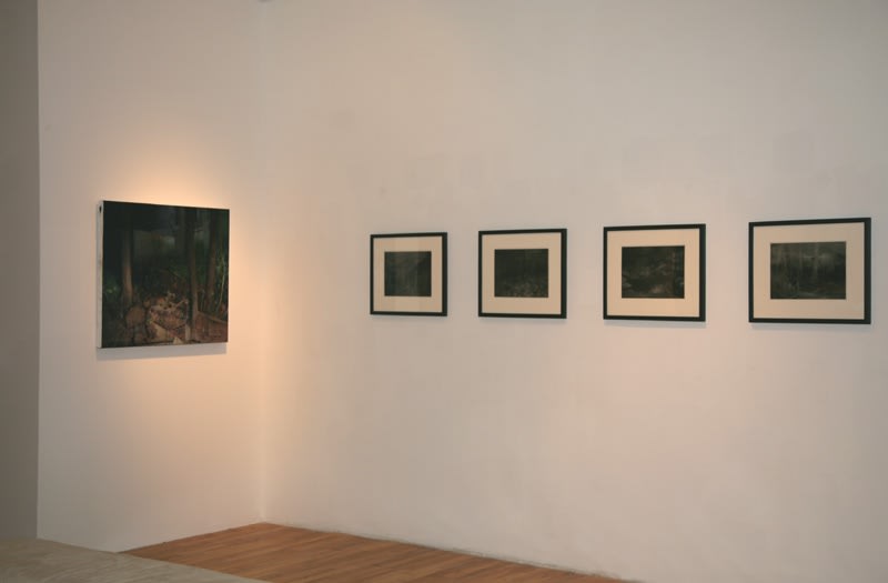 Dil Hildebrand