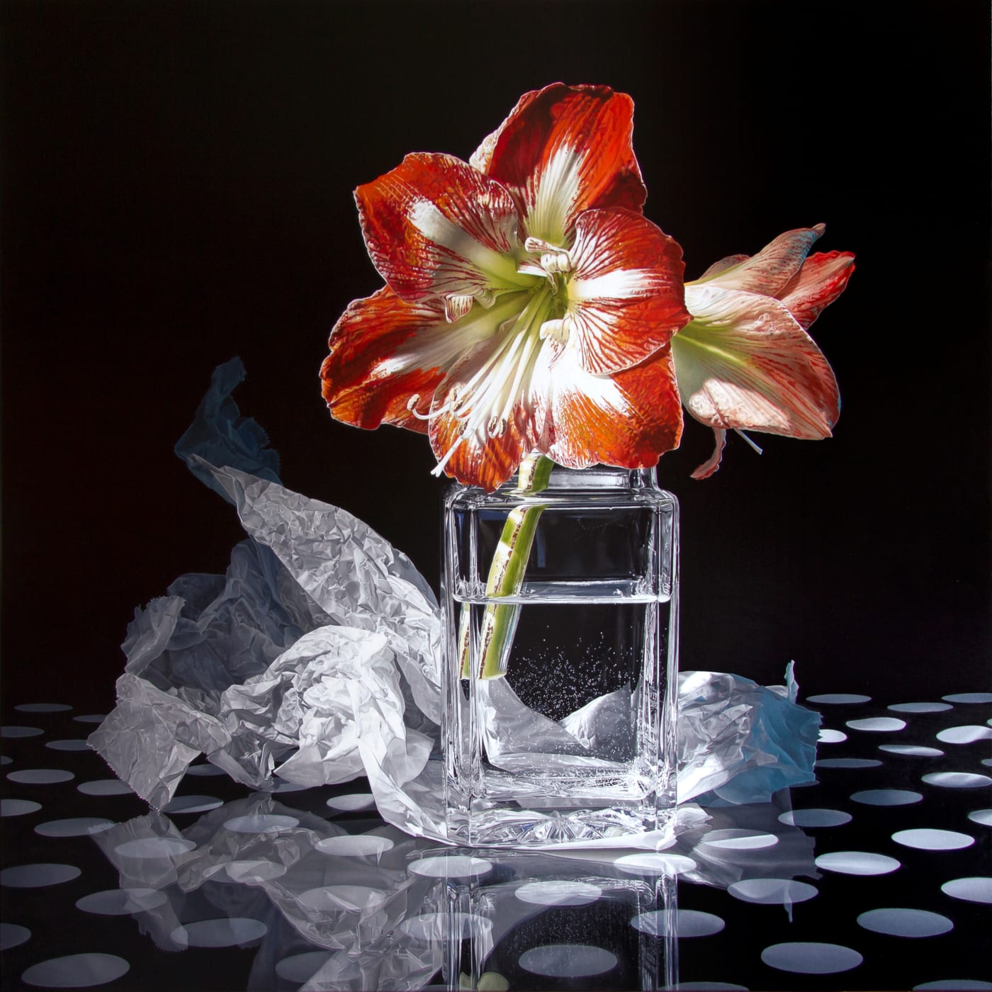 Francoise Chartier "Minerva" 152 x 152 cm Oil on canvas