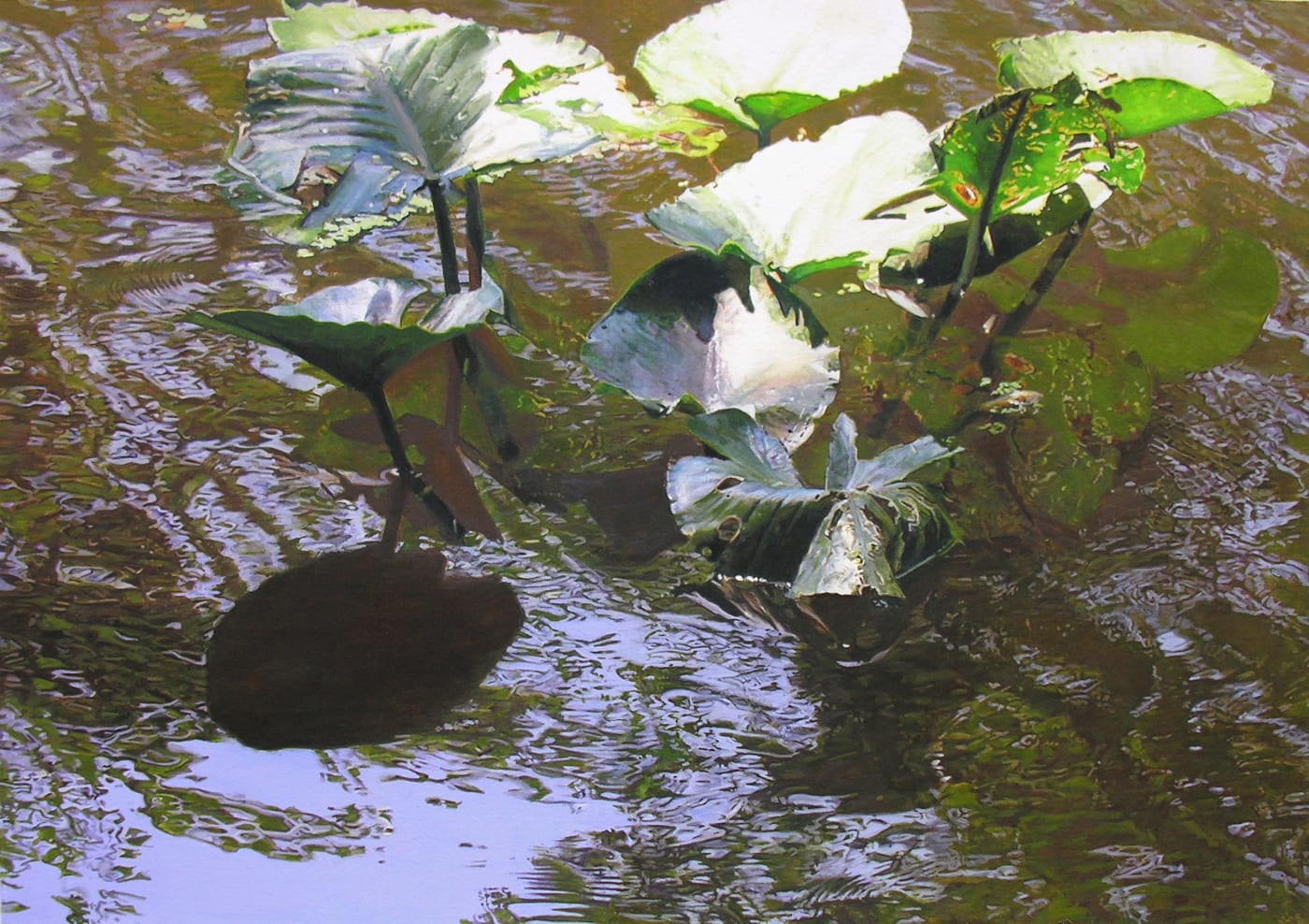 James Van Patten "Reflections on an Afternoon" 94 x 119.5 cm Watercolour on paper