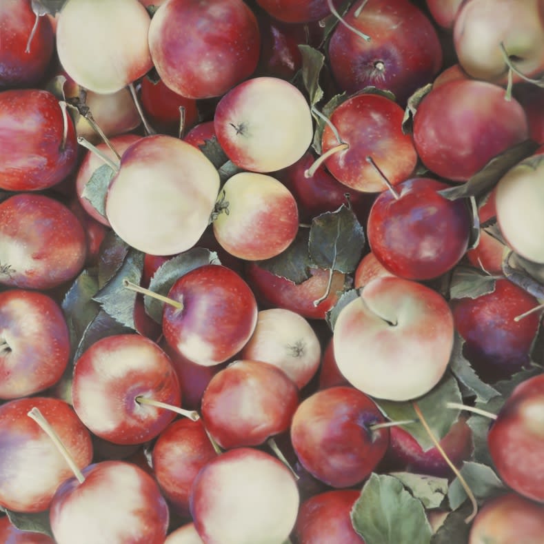 Ben Schonzeit Lady Apples Acrylic on polyester 84 x 84 cm