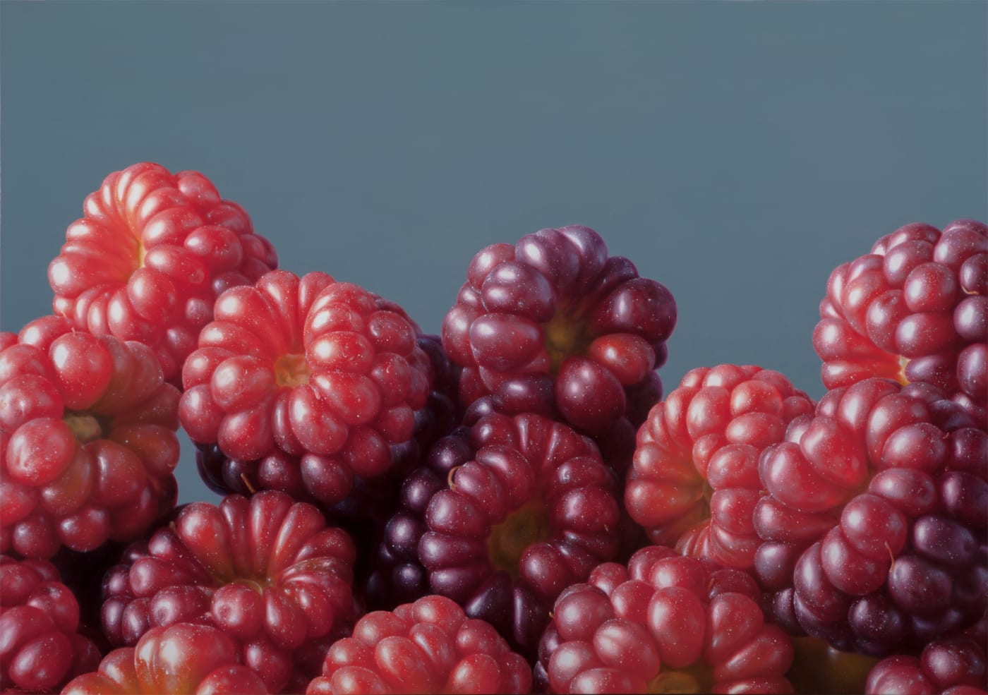 Antonio Castello Raspberries Oil on linen 70 x 100 cm