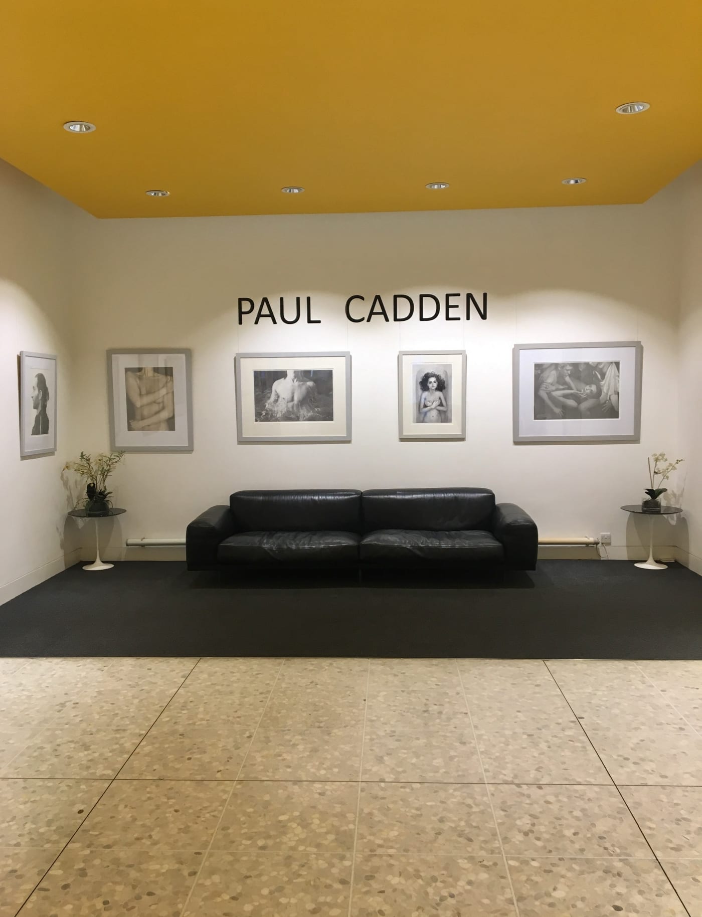 Paul Cadden at the Piper