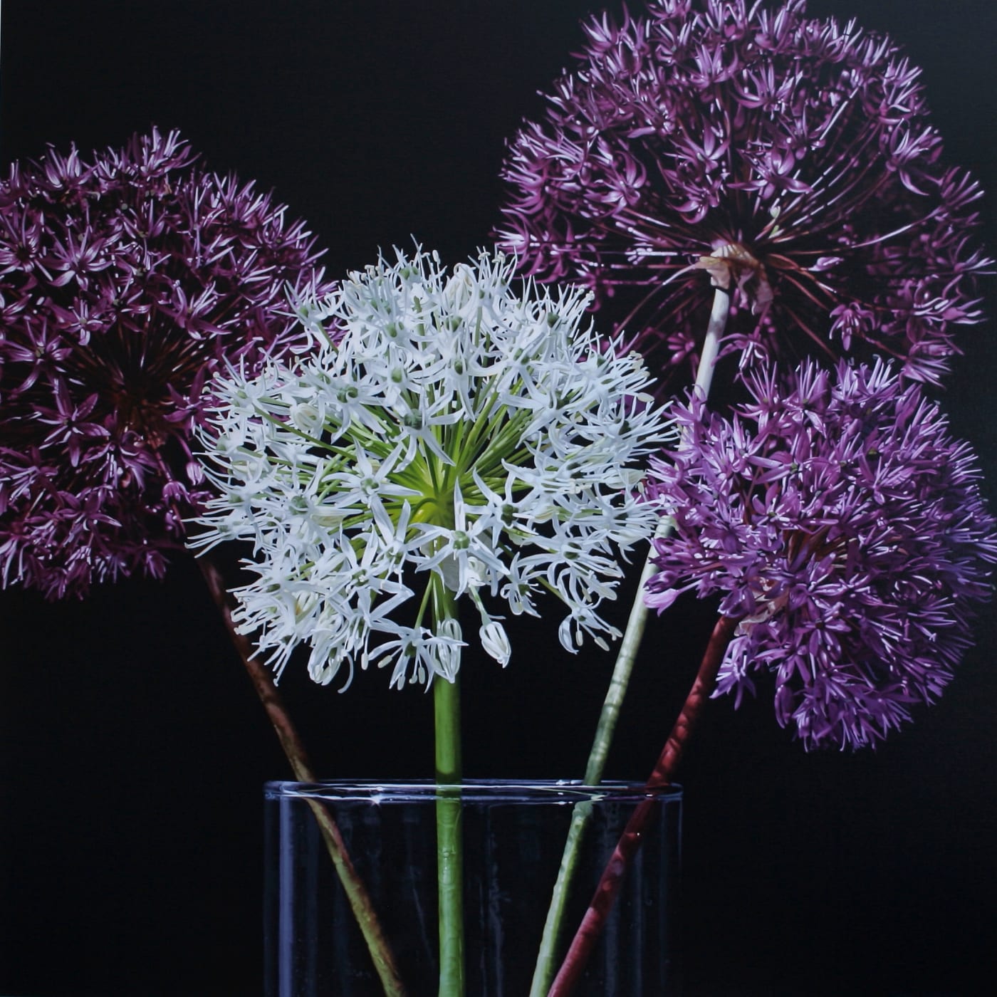 Paintings in Bloom
