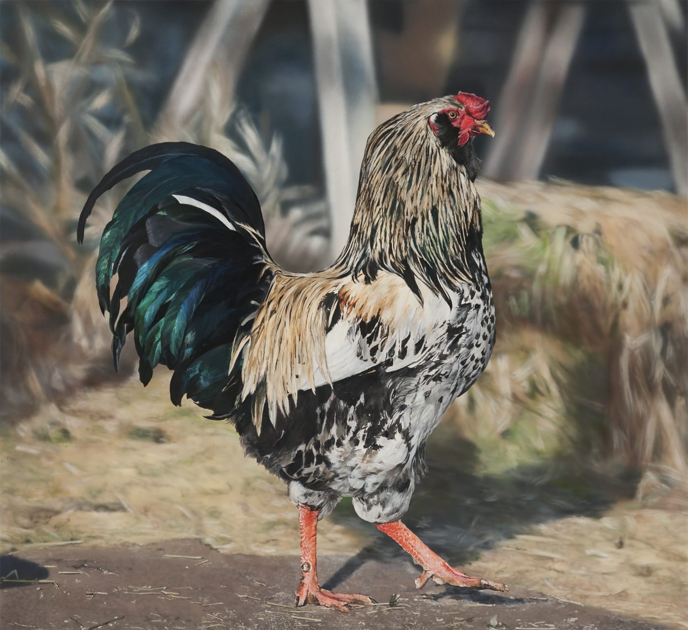 Recent Paintings from New York