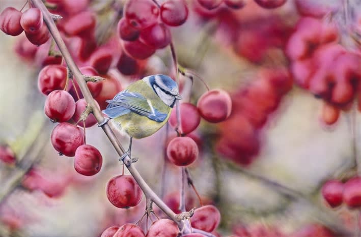 Nature's Greatest