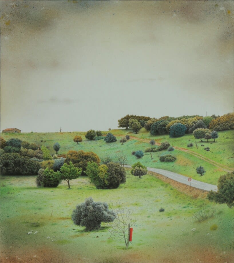 Francisco ROA "Albatages II" Mix media 27.5 x 21.5 cm