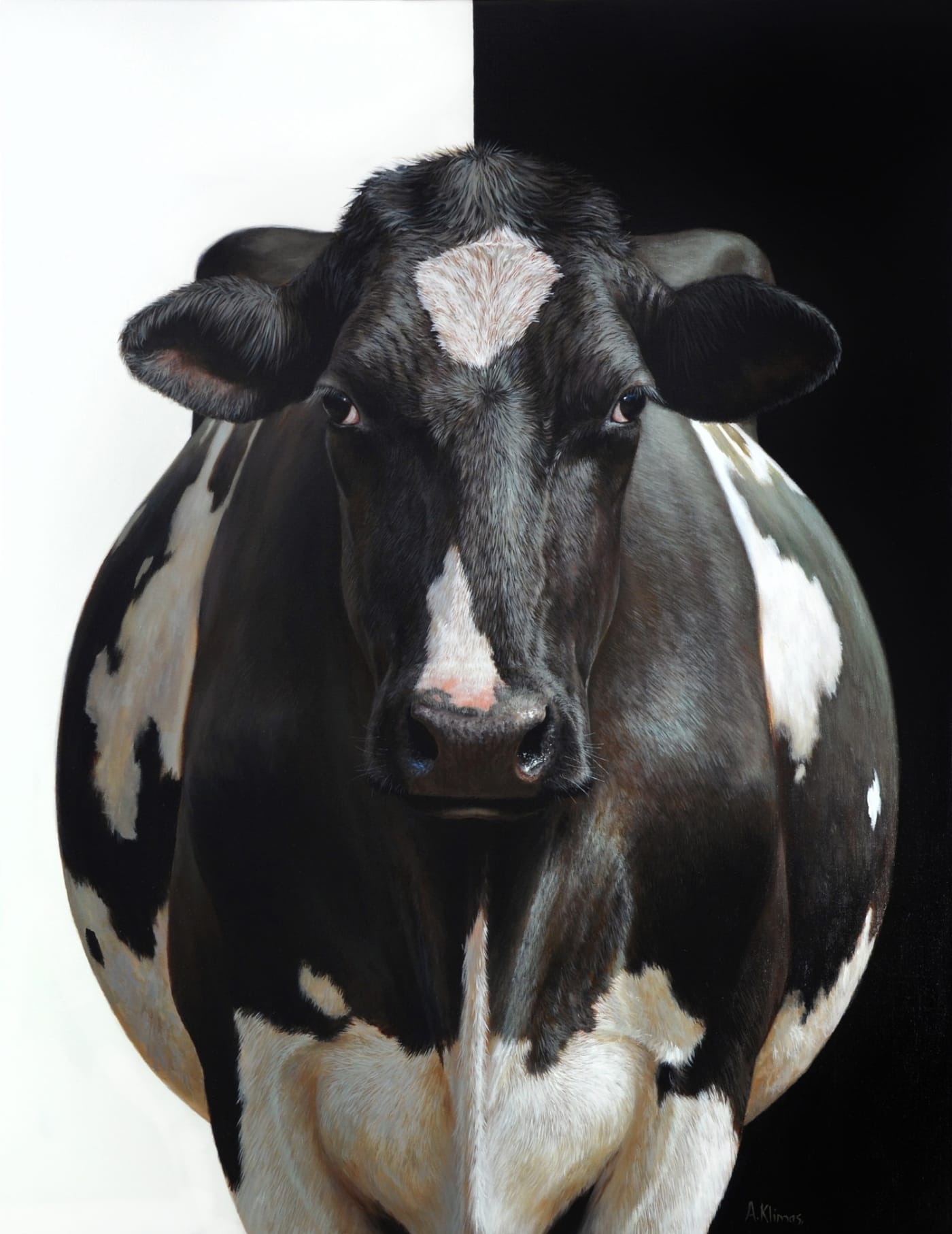 Alexandra Kilmas "Evi the Cow" Oil on canvas 103 x 100 cm