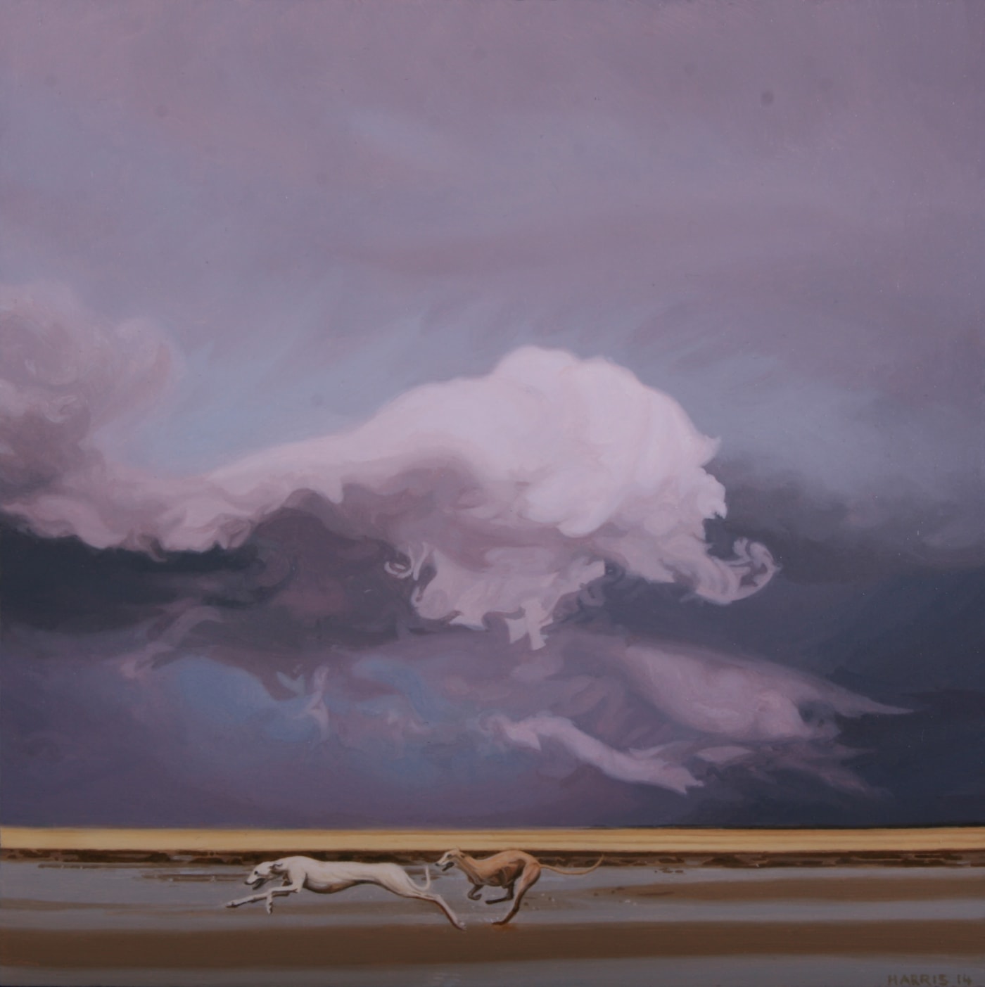 Phillip Harris "Storm Dog 2" Oil on aluminum 20 x 20 cm