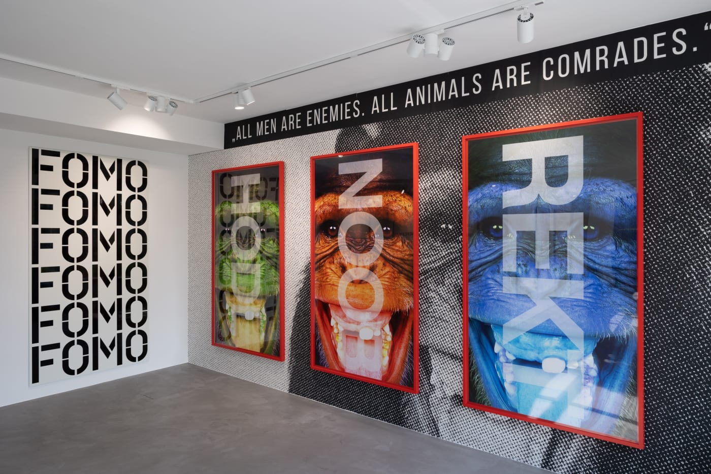Capturing the current Zeitgeist: Rulton Fyder in dialogue with conceptual art contemporaries