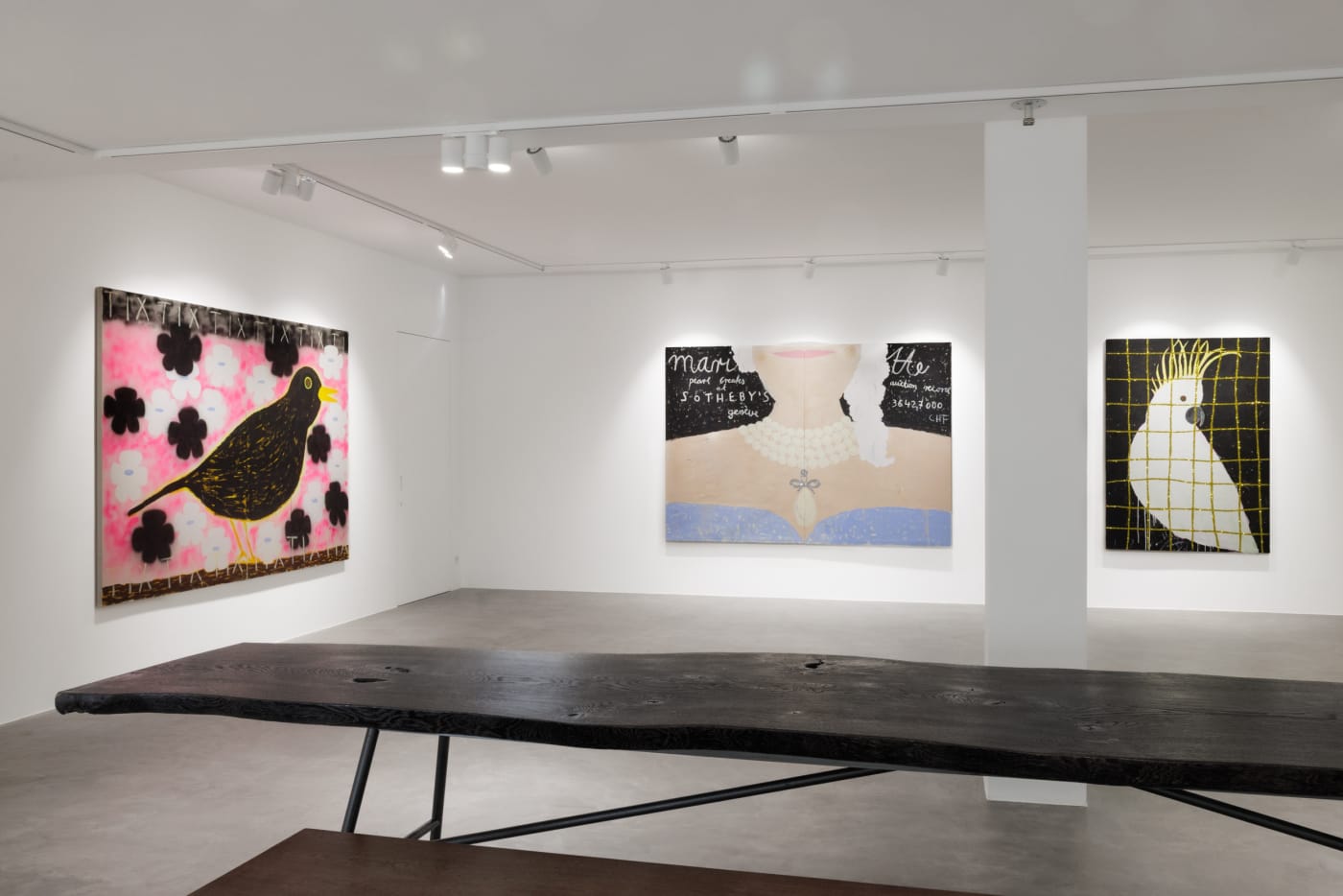 Installation view at PULPO GALLERY | Gabrielle Graessle, daisy days, 2025