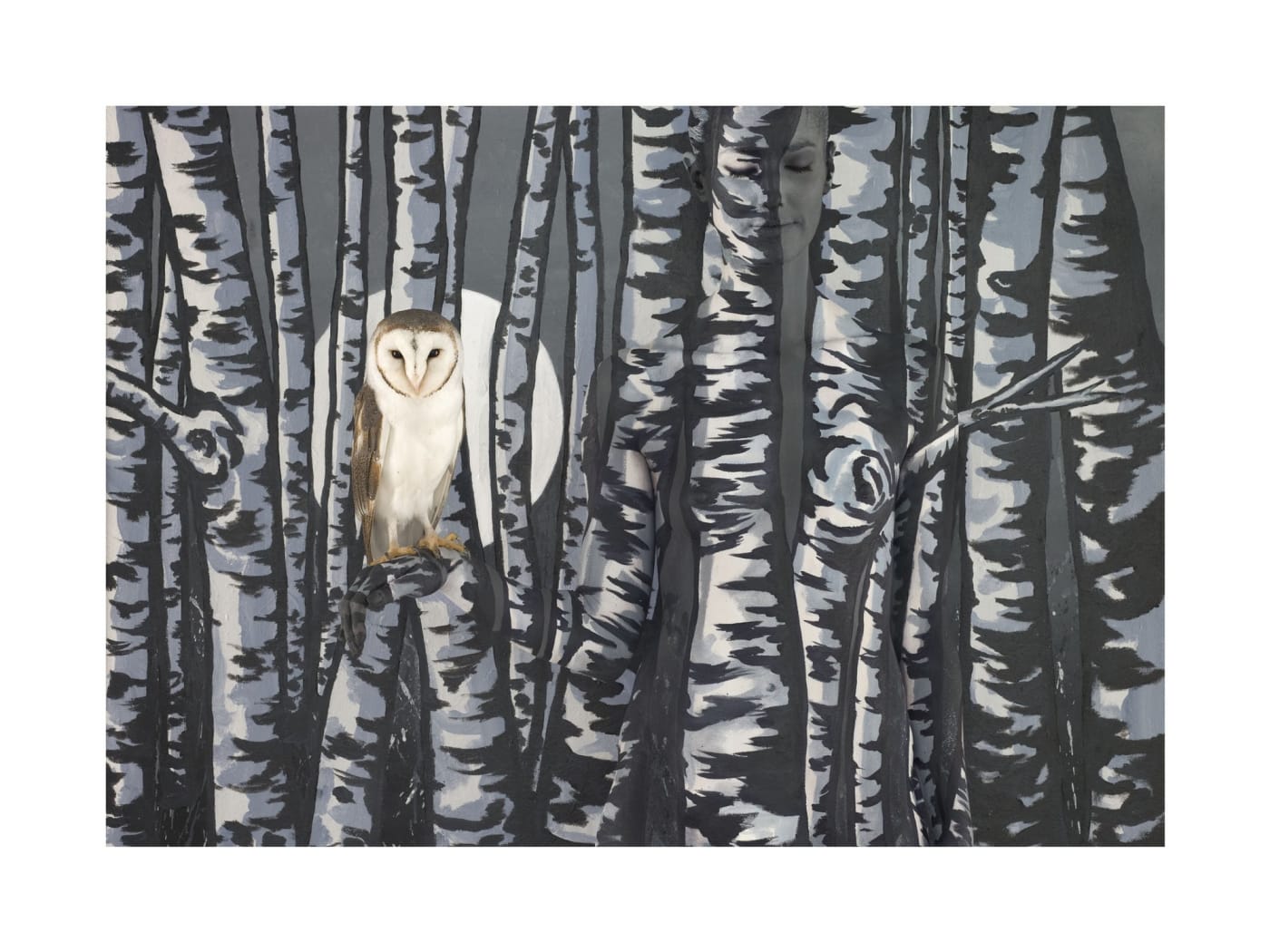 Emma Hack, Owl in Birch Trees, 2011, C/Type Digital Print Ed 2/10, 38 x 47 in