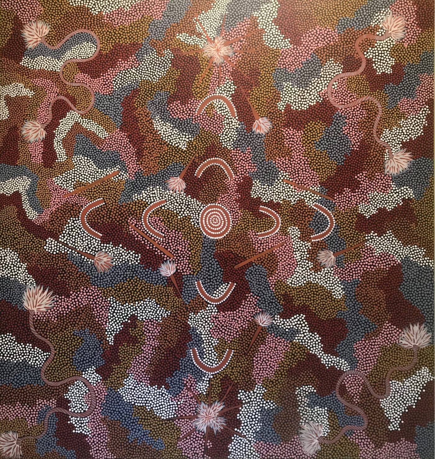 Clifford Possum Tjapaltjarri, Woman's Dreaming, 1988, synthetic polymer paint on canvas, 128 x 128 cm, 50 3/8 x 50 3/8 in