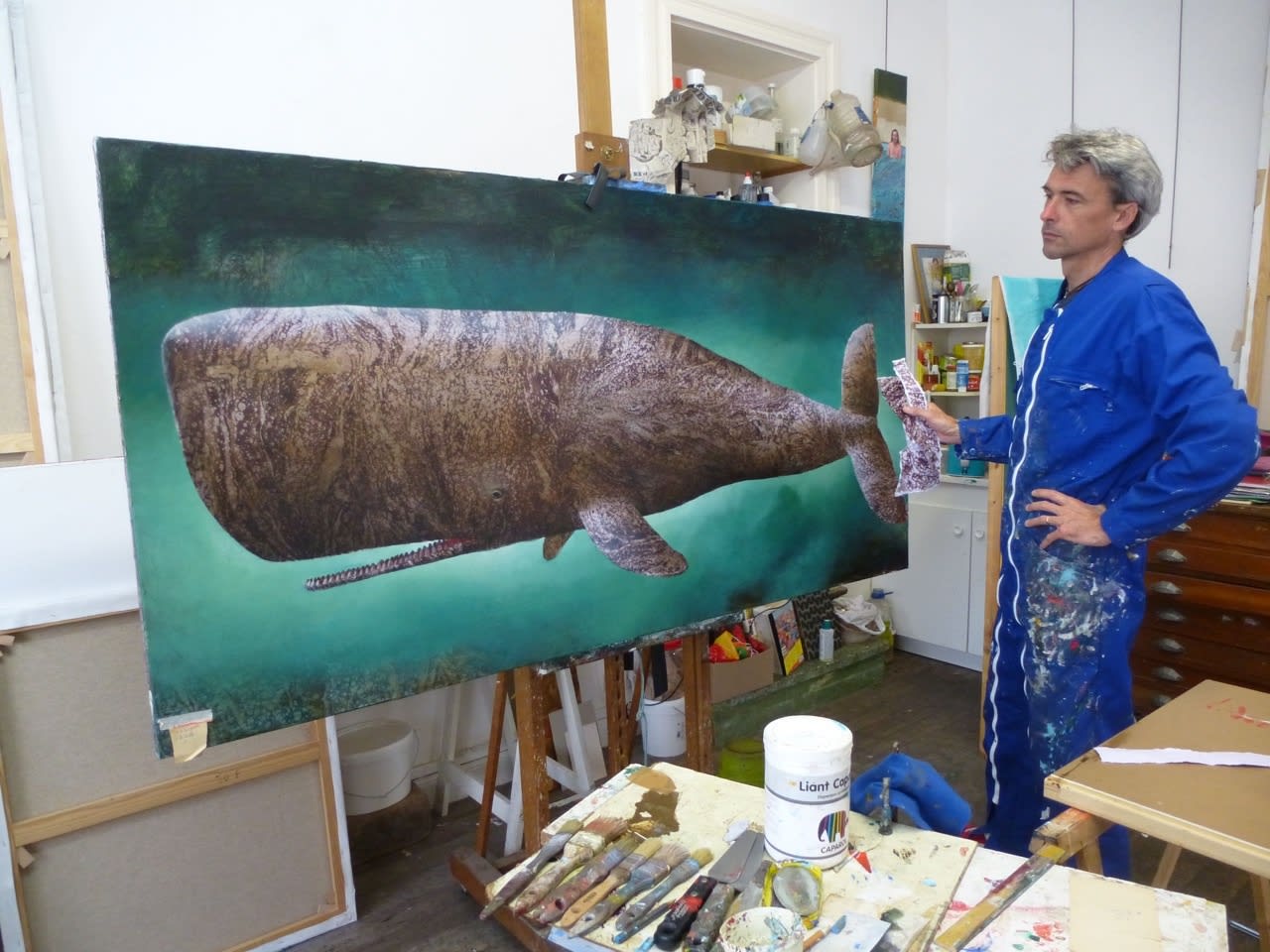 Sylvain Lefebvre, In Studio