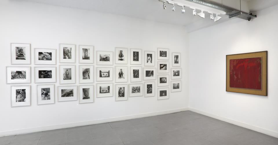 Viennese Season: Actionism (6 March - 4 April 2014) installation views