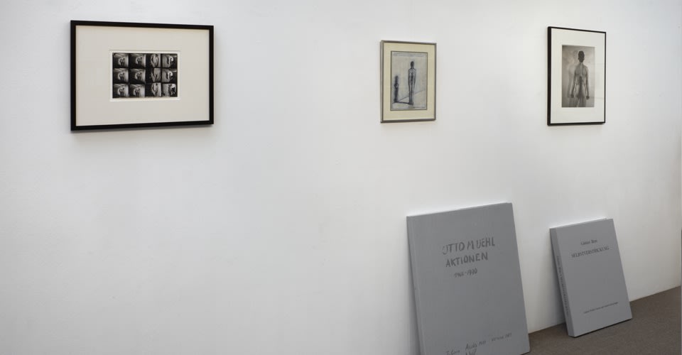 Viennese Season: Actionism (6 March - 4 April 2014) installation views