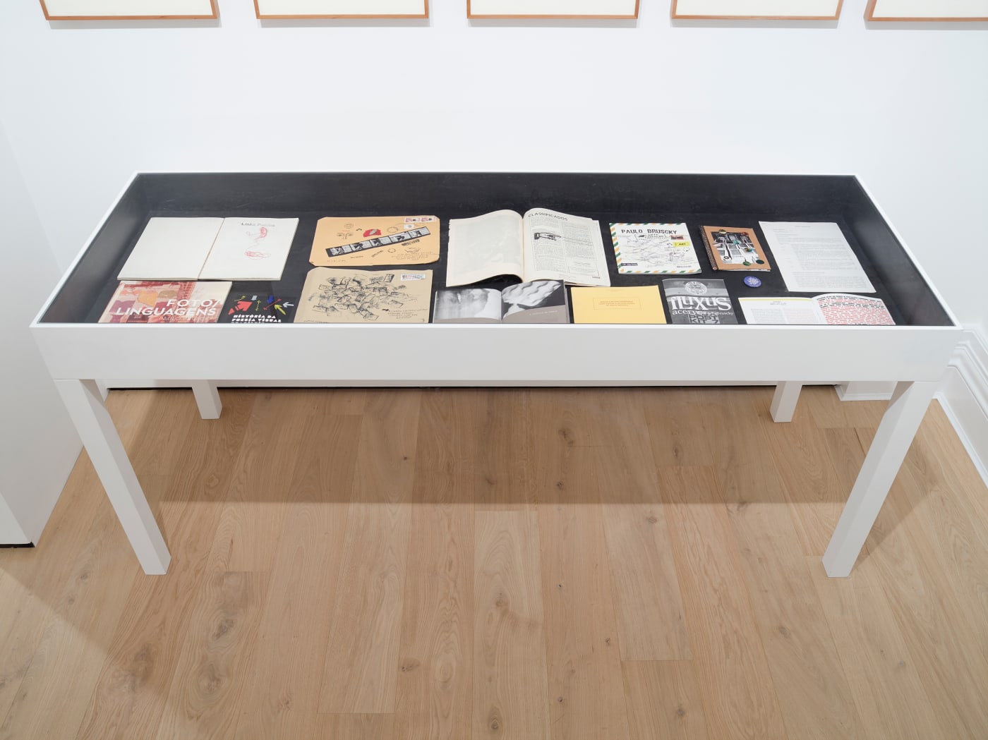 Installation view, Paulo BRUSCKY: The Gallery will be fumigated of art. Photo: Peter Mallet