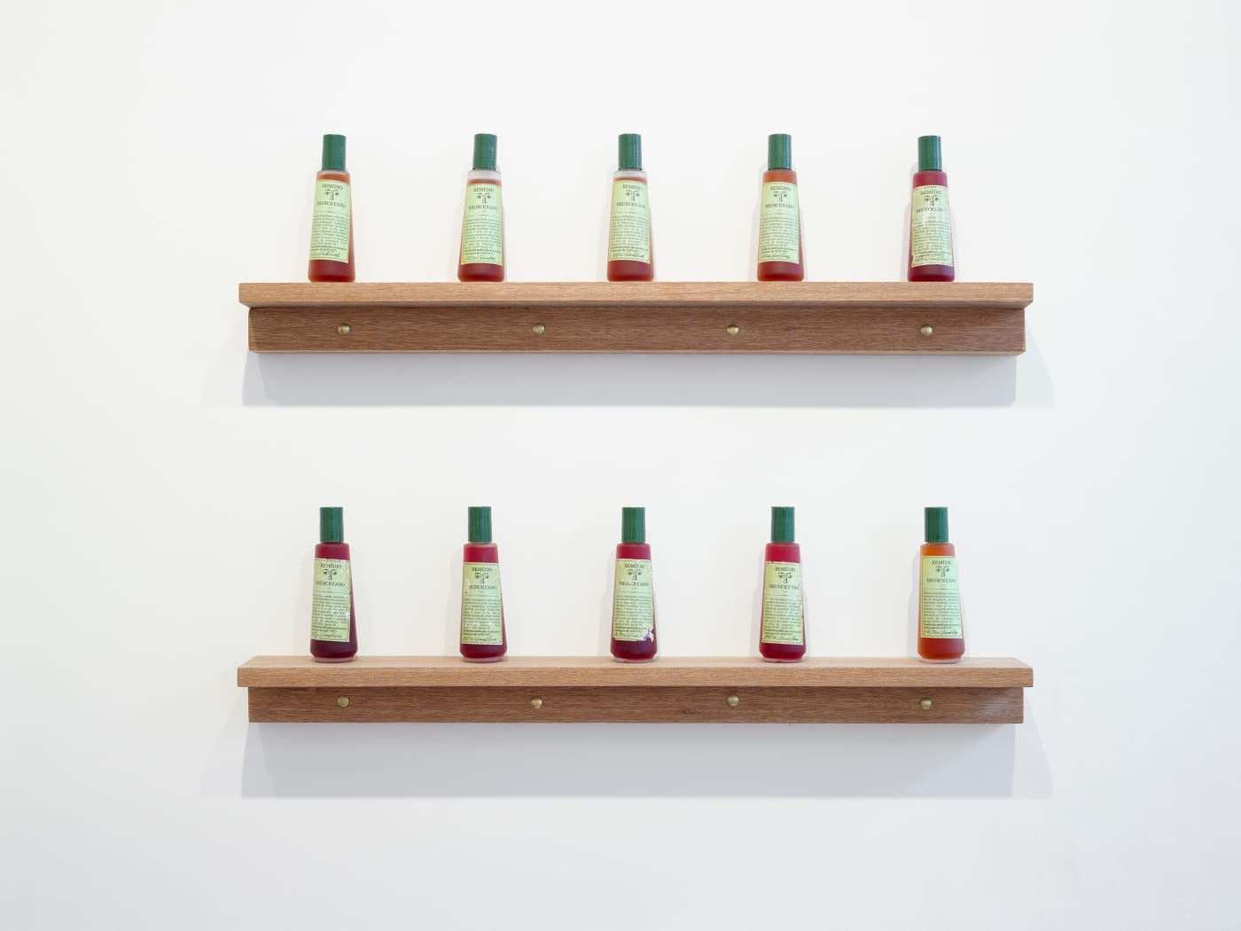 Installation view, Paulo BRUSCKY: The Gallery will be fumigated of art. Photo: Peter Mallet