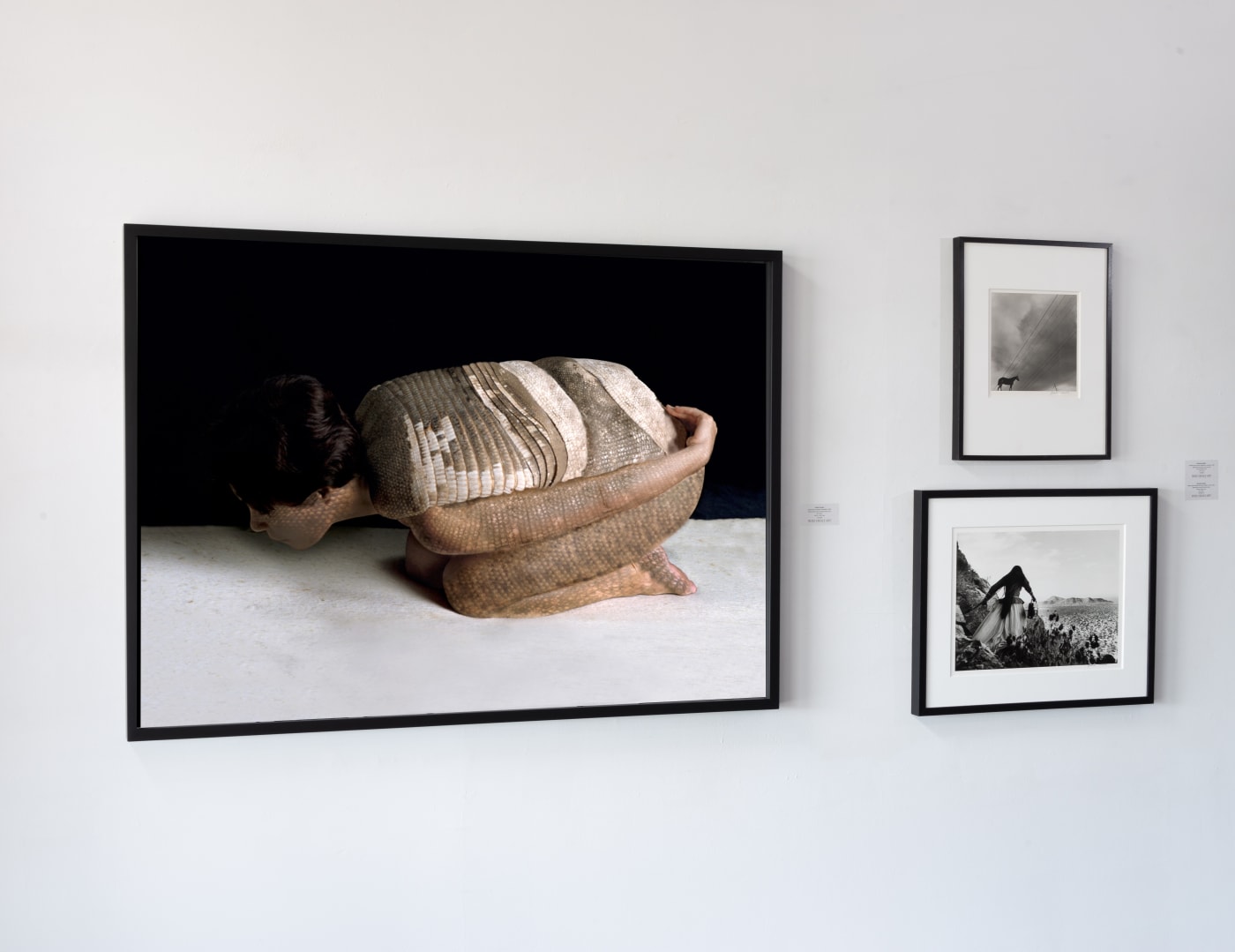 Installation images by Ansen Seale