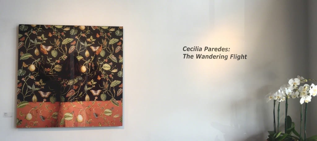 Cecilia Paredes: The Wandering Flight