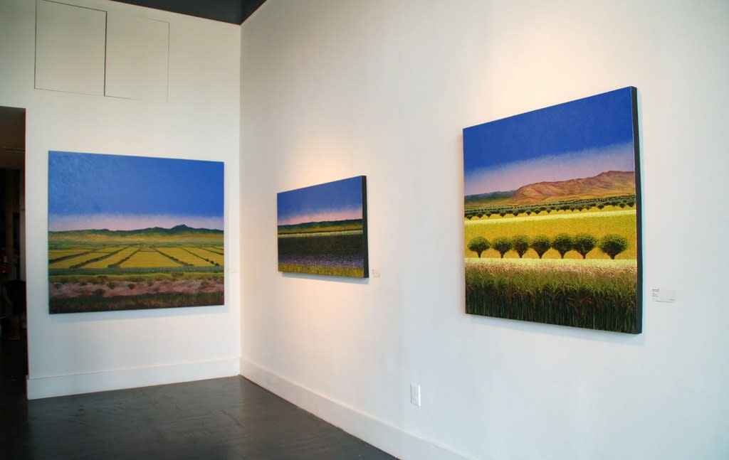 Installation Image from Exhibition