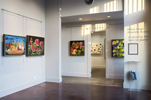 Pedro Diego Alvarado-Rivera: Embracing the Natural World