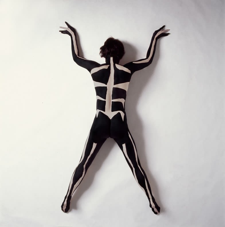 Cecilia Paredes Aracne, 2006