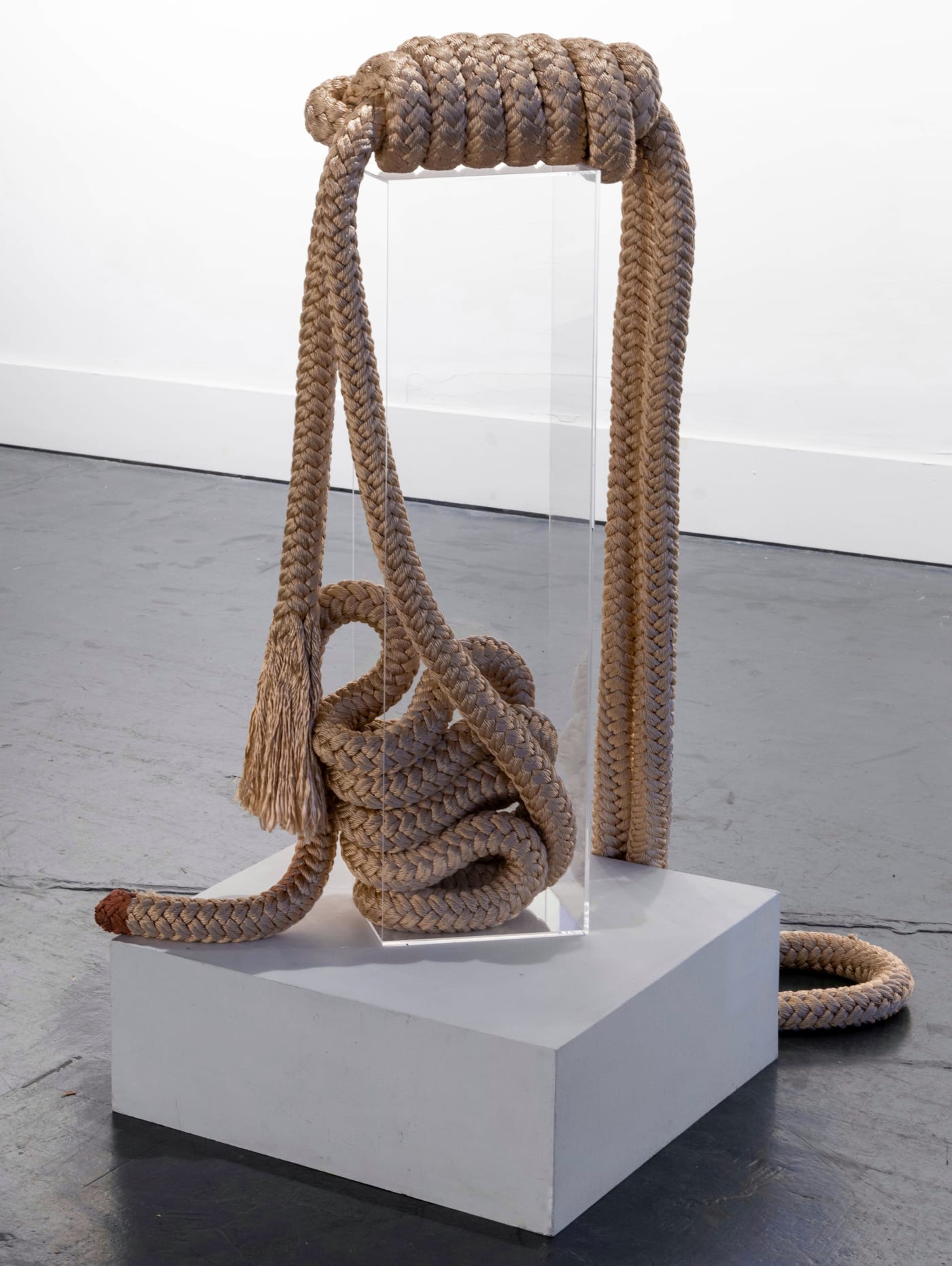Jesse Amado Lives Matter (noose), 2020 Synthetic rope, and Plexiglas 40 x 18 x 27 in 101.6 x 45.7 x 68.6 cm