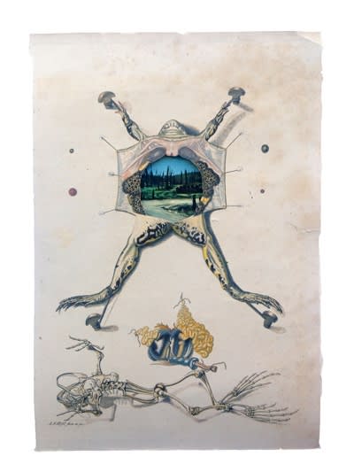 DANIEL HOROWITZ - RANA ASTEROCOSMOPHORA - 2016 - GOUACHE, COLLAGE, ANTIQUE LITHOGRAPH - 25 X 20 CM