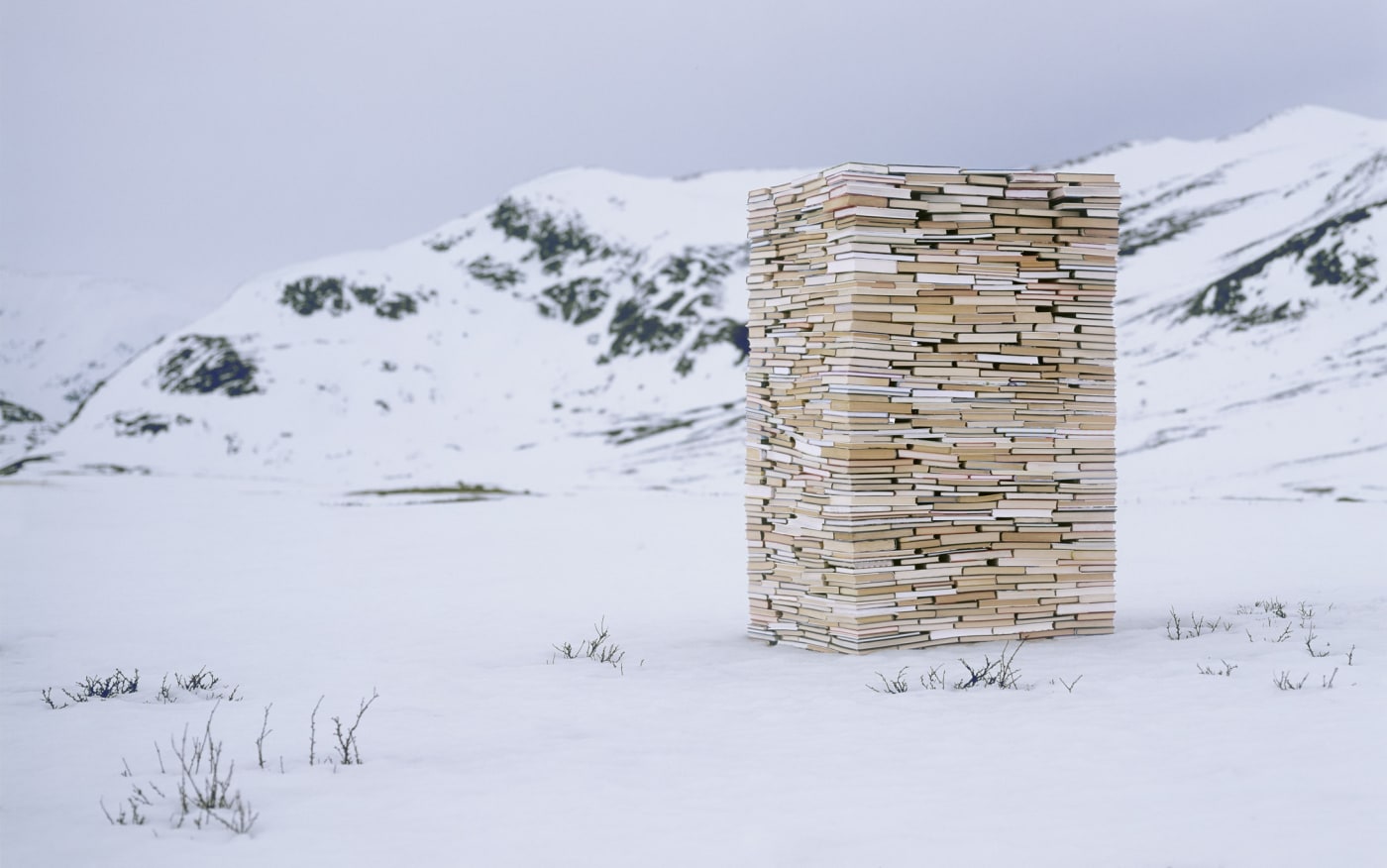 RUNE GUNERIUSSEN - SUSTAINED SUBSTANCE - 2014 - DIGITAL C-PRINT ON ALUMINIUM - 60 X 90 CM (EDITION 1 OF 5)