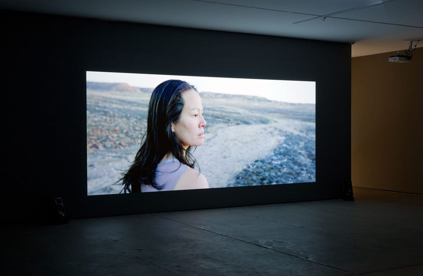 Cate Consandine, A Woman of the Future, 2016