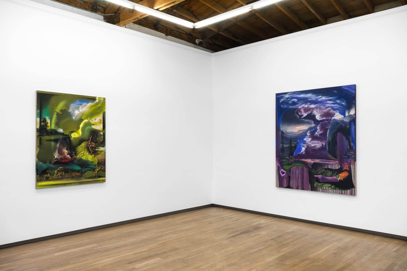 Annie Lapin. Contours of the Vast, Shulamit Nazarian, Los Angeles, 2022