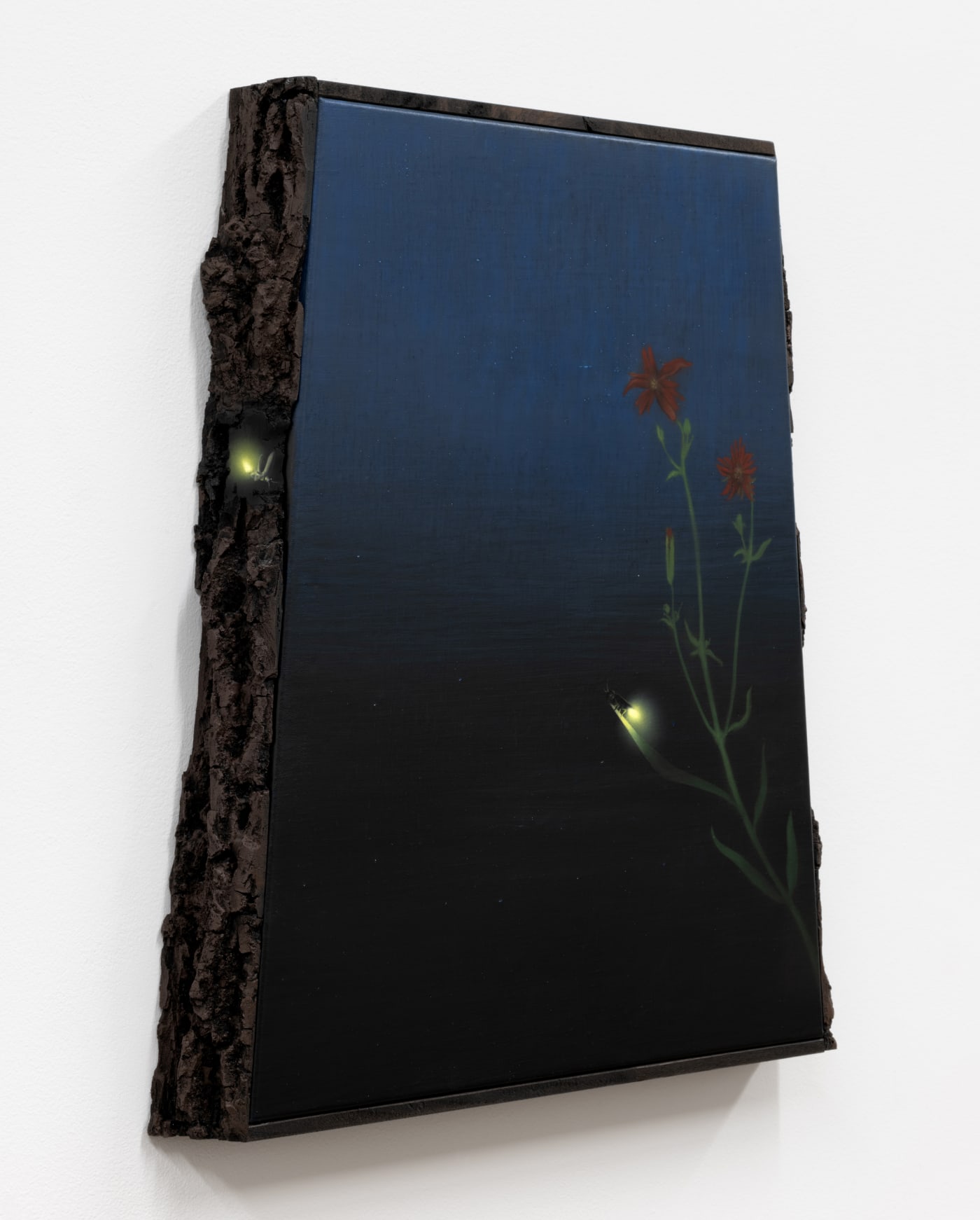 Dabin Ahn, Flora and Fauna (Nocturne), 2024