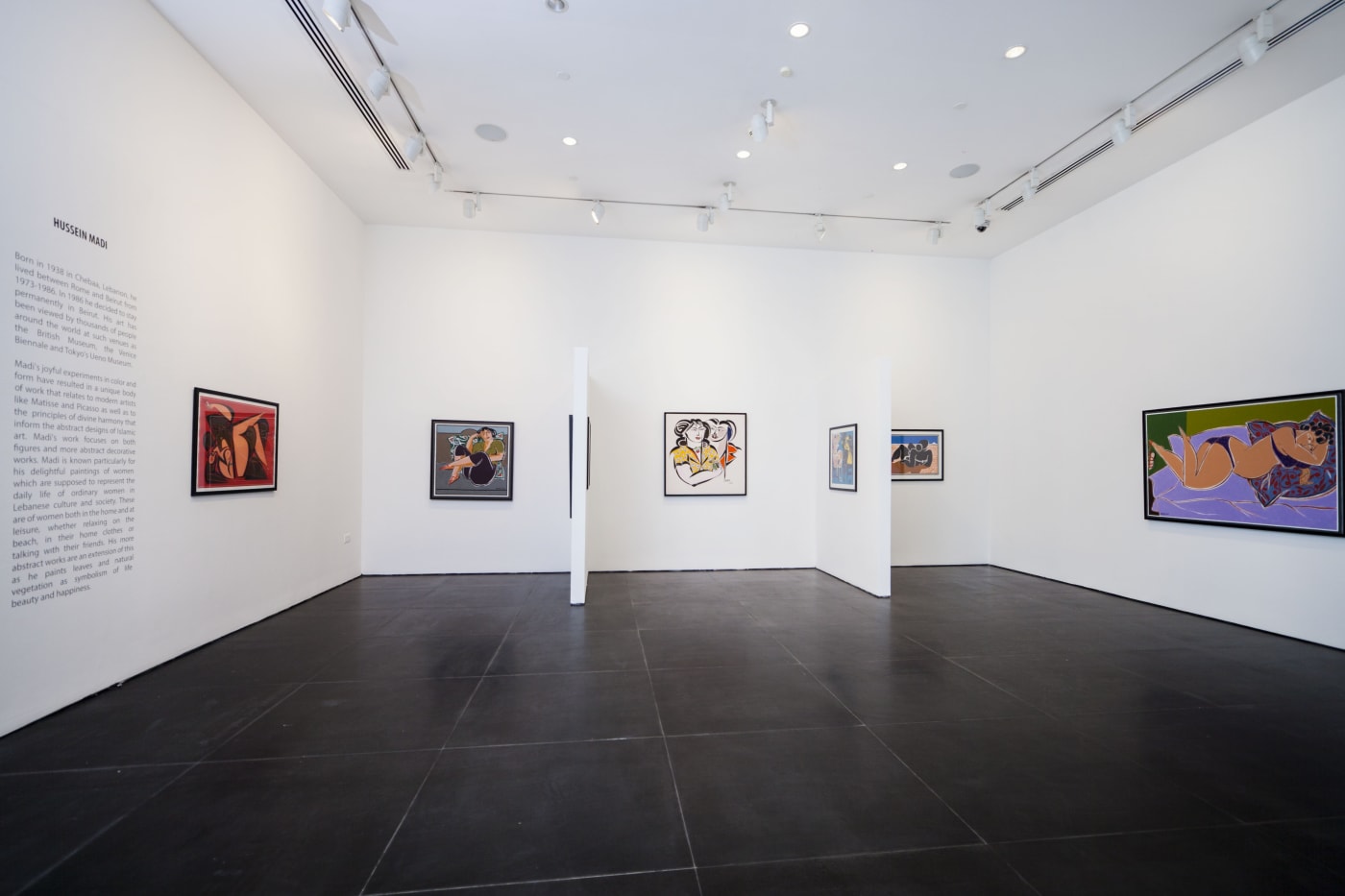 Hussein Madi Solo Exhibition